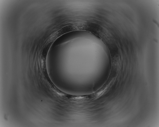 X0000091880139200709051331