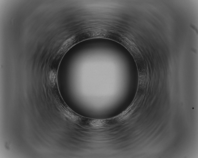X0000091880142200709051331