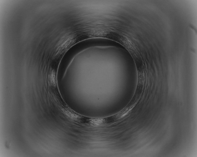 X0000091880143200709051331