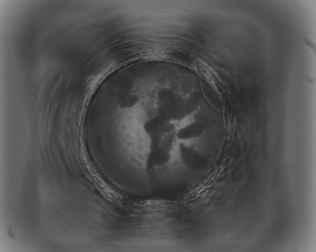 X0000091880145200709051330