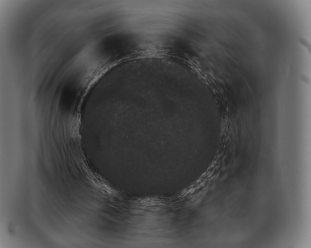 X0000091880146200709051330