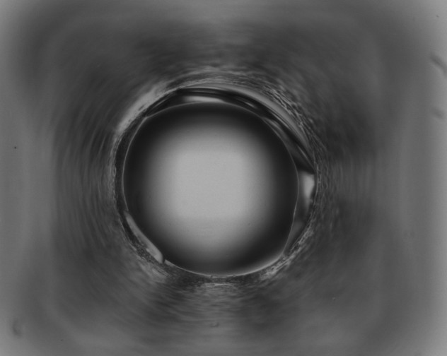 X0000091880150200709051330