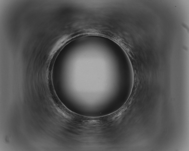 X0000091880151200709051330