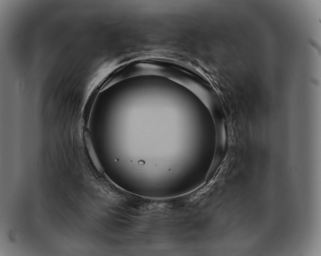 X0000091880152200709051330