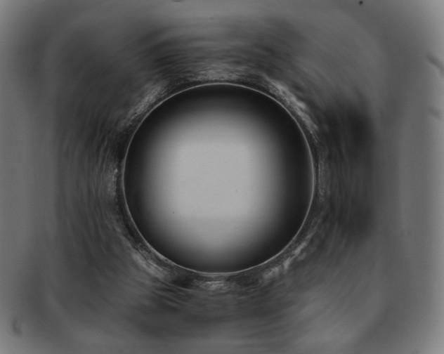 X0000091880153200709051330