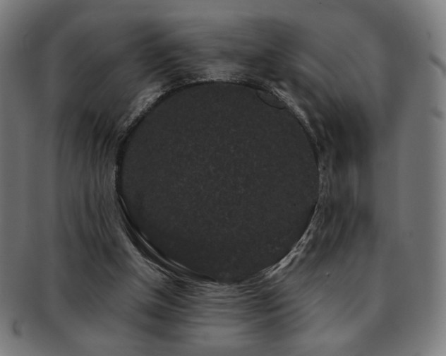 X0000091880154200709051330