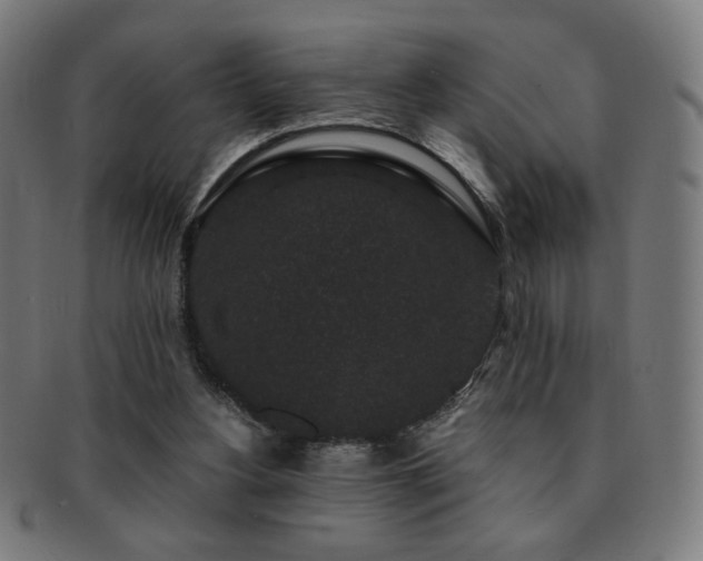 X0000091880156200709051330