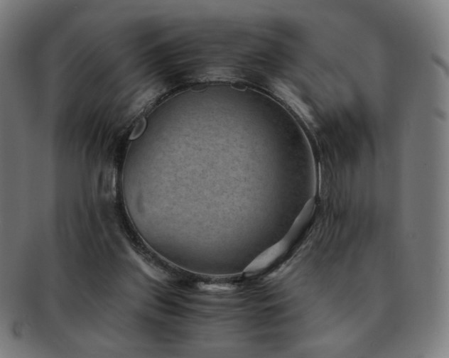 X0000091880157200709051330