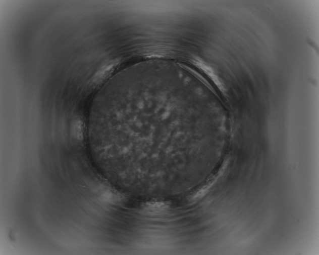 X0000091880161200709051331