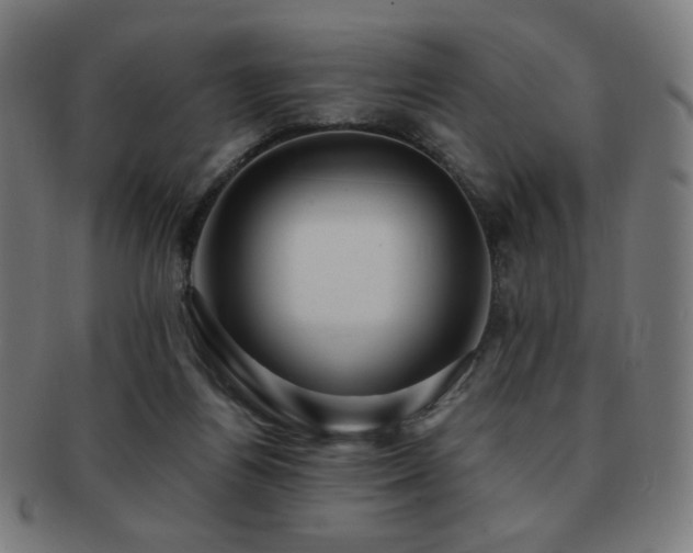 X0000091880164200709051331