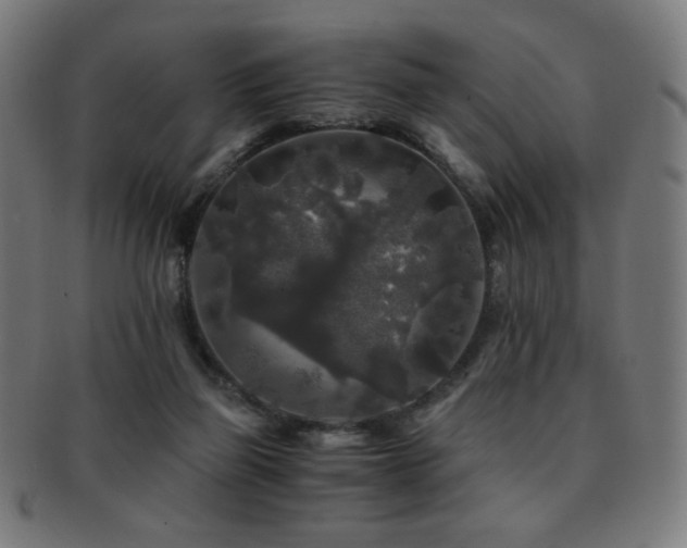 X0000091880165200709051331