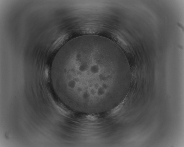 X0000091880166200709051331