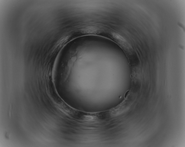 X0000091880167200709051331