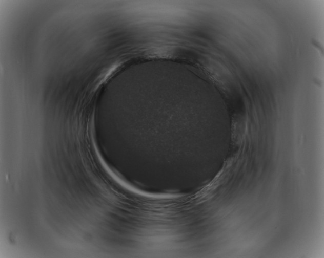 X0000091880168200709051331