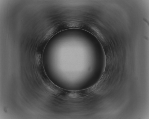 X0000091880171200709051331