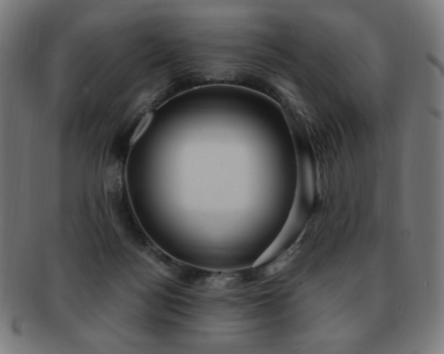 X0000091880172200709051331