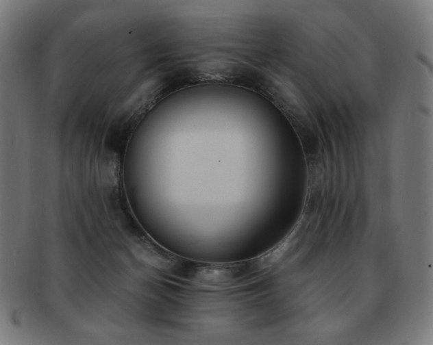 X0000091880174200709051331