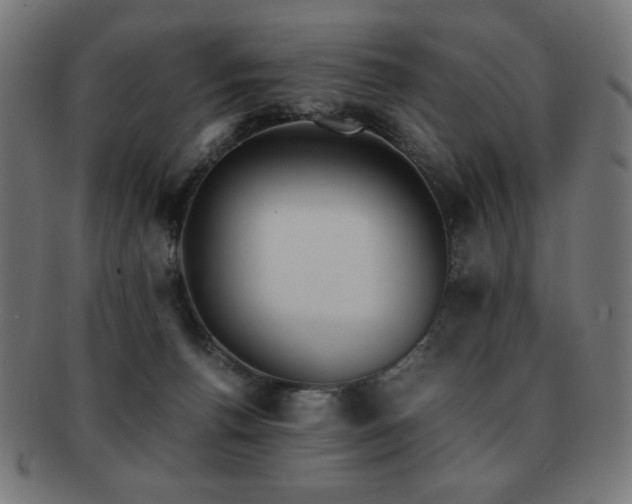 X0000091880176200709051331