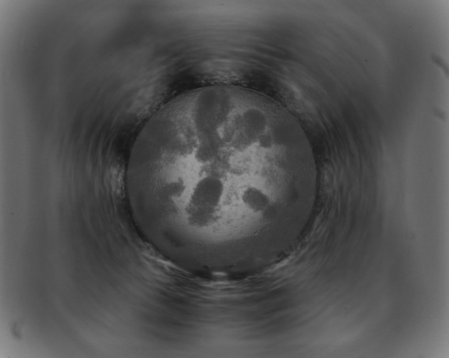 X0000091880177200709051331