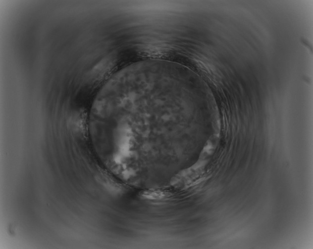 X0000091880181200709051331