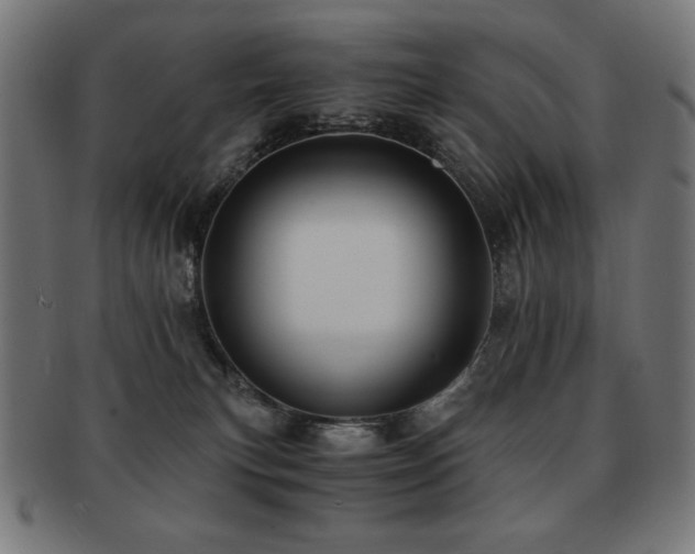X0000091880183200709051331