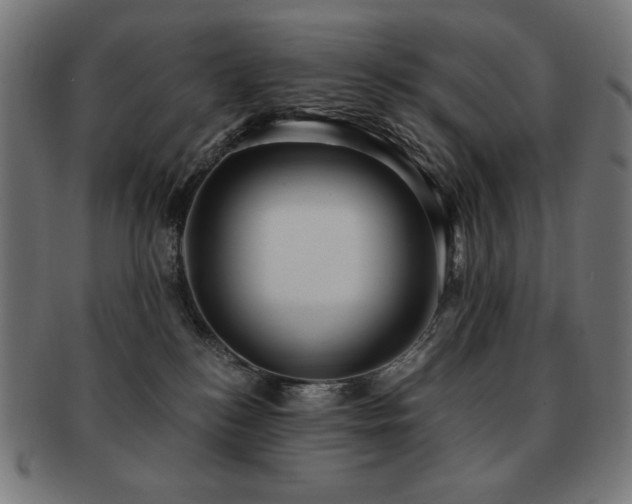 X0000091880184200709051331