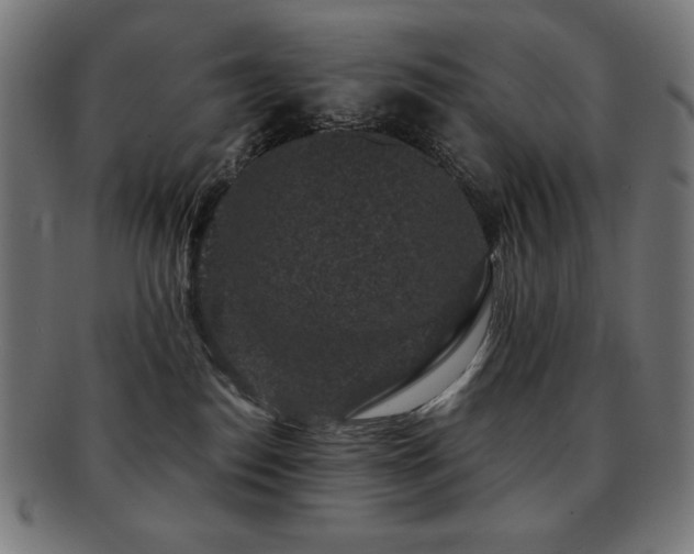 X0000091880186200709051331