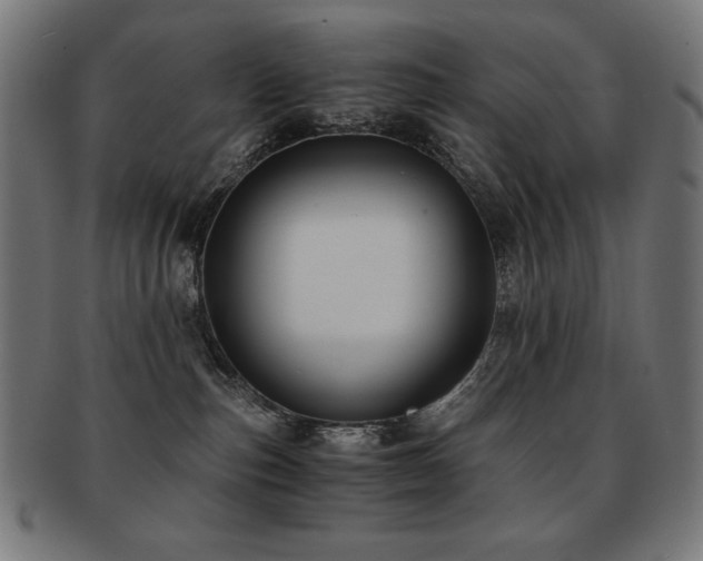 X0000091880187200709051331