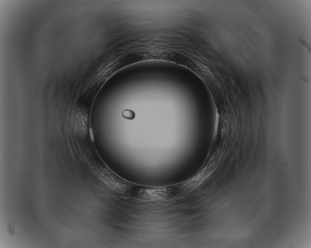 X0000091880188200709051331