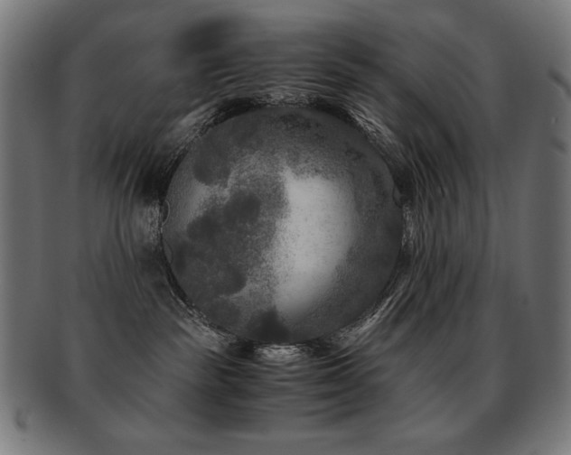 X0000091880189200709051331