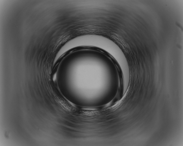 X0000091880190200709051331
