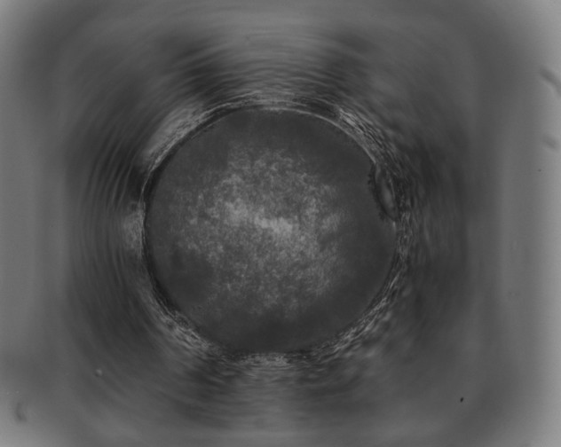 X0000091880194200709051330