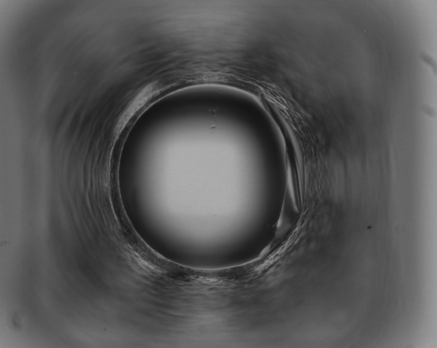 X0000091880195200709051330