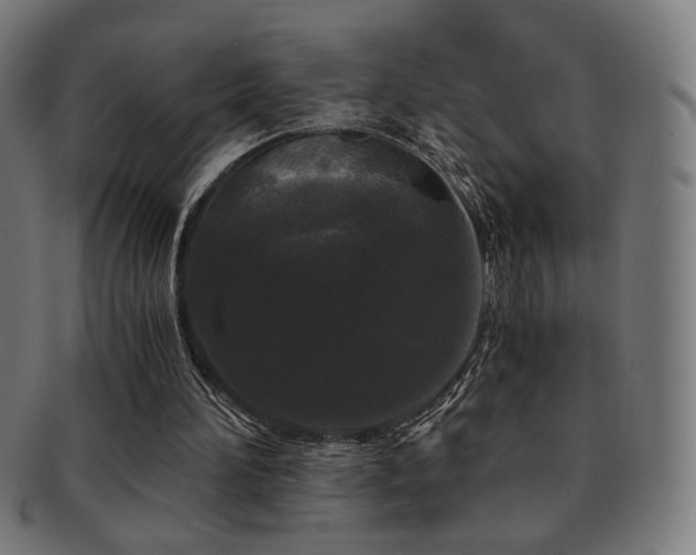 X0000091880196200709051330