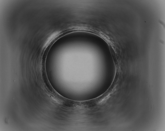 X0000091880199200709051330