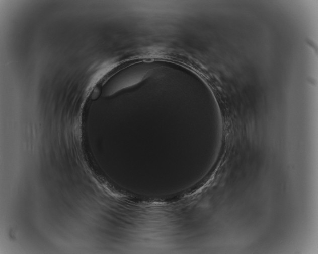 X0000091880200200709051330