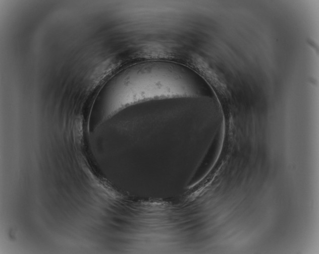 X0000091880202200709051330