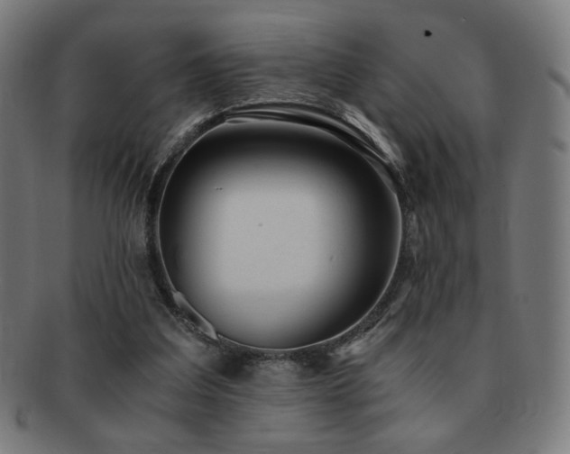 X0000091880203200709051330