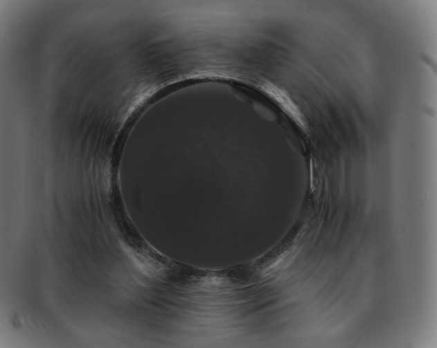 X0000091880204200709051330