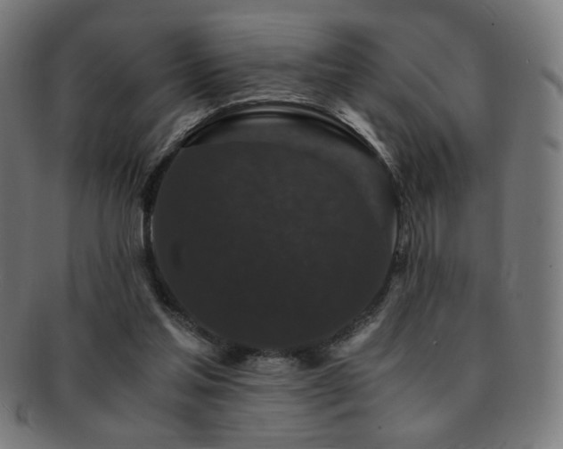 X0000091880205200709051330