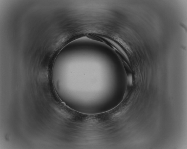 X0000091880207200709051330