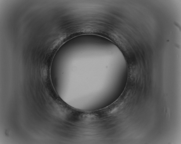 X0000091880208200709051330