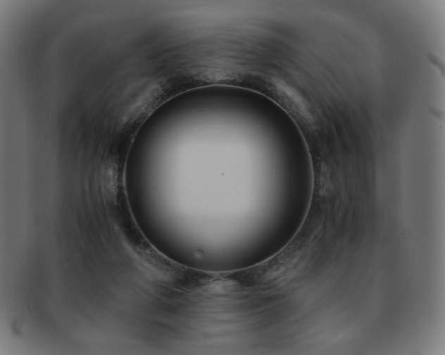 X0000091880210200709051330