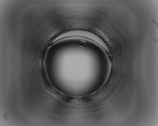 X0000091880211200709051330