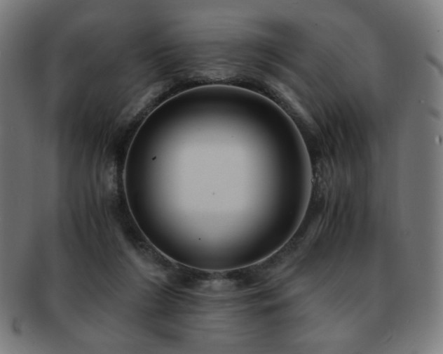 X0000091880212200709051330