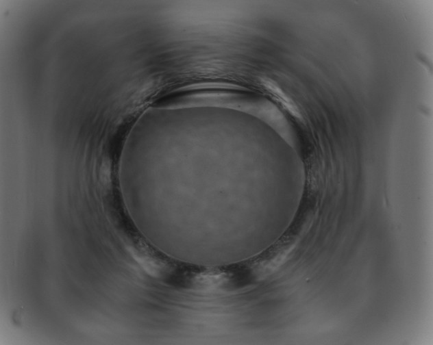 X0000091880213200709051330