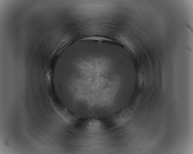 X0000091880214200709051330