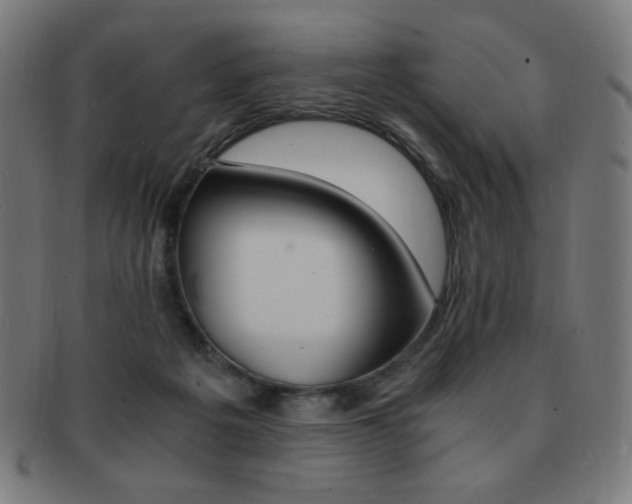 X0000091880217200709051330