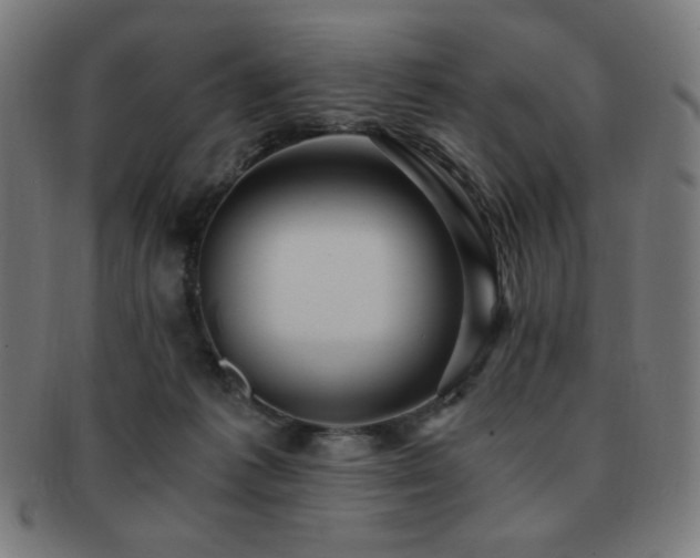 X0000091880221200709051330