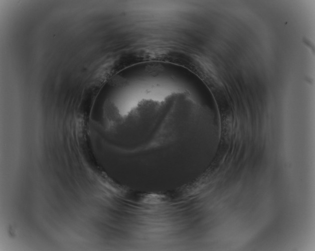 X0000091880222200709051330